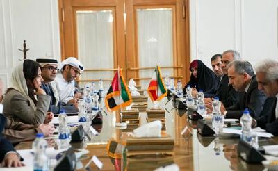  برگزاری دومین نشست کمیته مشورت‌های سیاسی ایران و امارات