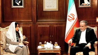  دیدار وزیر مشاور در وزارت امور خارجه امارات با عراقچی