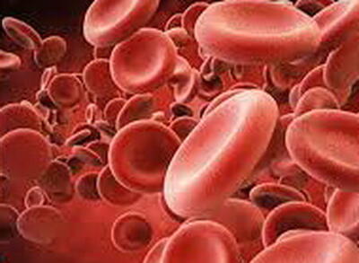  «پلاکت»؛ فرآورده‌ای با عمر کم و فواید زیاد