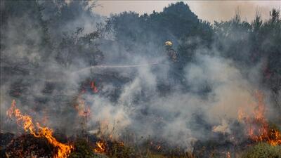  آتش‌سوزی‌های جنگلی گسترده در کره جنوبی
