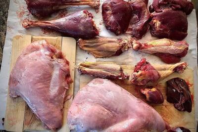  قیمت گوشت بوقلمون در میدان تره بار اعلام شد