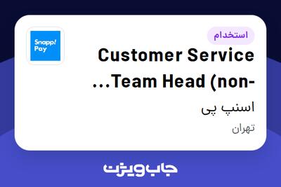  استخدام Customer Service Team Head (non-credit) در اسنپ پی