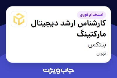  استخدام کارشناس ارشد دیجیتال مارکتینگ در بیتکس