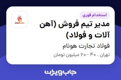  استخدام مدیر تیم فروش (آهن آلات و فولاد) در فولاد تجارت هونام