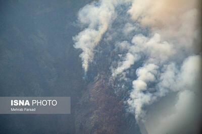  تغییر اقلیم چه بلایی سر جنگل‌ها می‌آورد؟