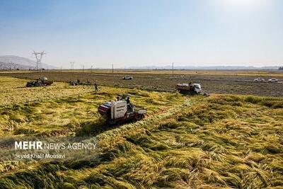  ۶۶ هزار هکتار از اراضی کشاورزی از تغییر کاربری نجات یافتند