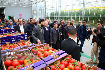  سفر وزیر جهاد کشاورزی به زنجان