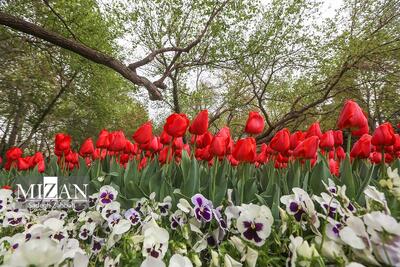  بوستان‌های باغ گل‌ها، ایرانی و فاز اول بام ری در آستانه بهره‌برداری