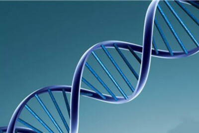  اوریگامی DNA، کلید نظم‌بخشی مولکولی در نیمه‌رساناهای دوبعدی