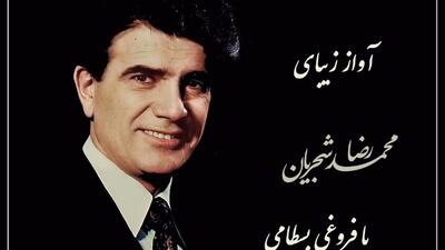  عاشقانه ترین آواز استاد شجریان با شعری از فروغی بسطامی، صدایی که دل هر عاشقی را می لرزاند / دلم از نرگس بیمار تو بیمارتر است