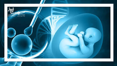  همه‌چیز درباره IVF؛ شانس موفقیت، هزینه‌ها و واقعیت‌ها
