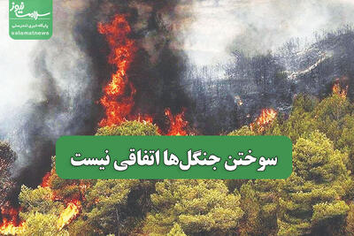  سوختن جنگل‌ها اتفاقی نیست