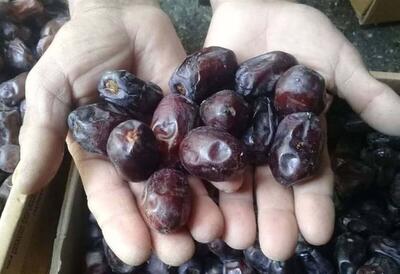  آغاز توزیع ۷۰ تن خرما در خراسان رضوی به مناسبت ماه رمضان