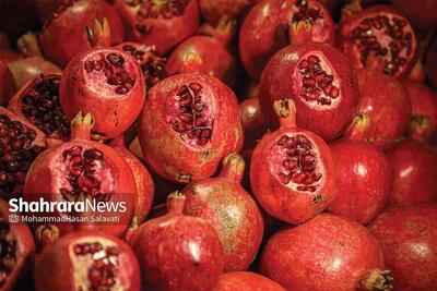  قیمت امروز میوه و تره بار در مشهد اعلام شد (۲۰ بهمن ۱۴۰۴) | انار کیلویی چند؟