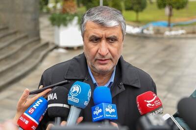  رئیس سازمان انرژی اتمی: وظیفه داریم از پرتو‌های یون‌ساز و غیریون‌ساز محافظت کنیم