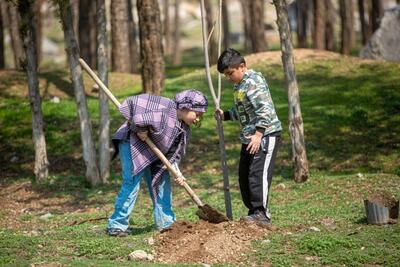  فعالیت ۱۱ هزار دانش‌آموز محیط‌یار در مدارس