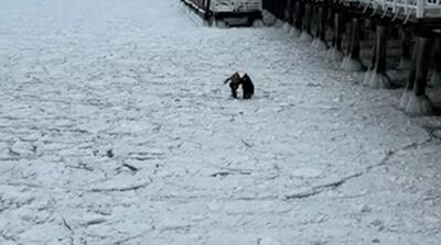  لحظه سقوط دو نفر به دریای یخ‌زده توسط یک زن