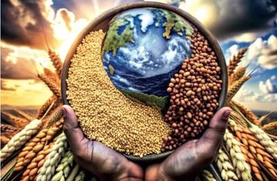  بازارهای جهانی غلات بر سر دوراهی؛ فراوانی، رقابت و توهم ثبات