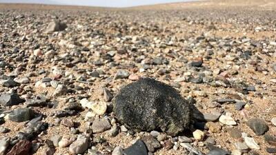  گنج قیمتی ۴ میلیارد ساله در باغچه کشف شد