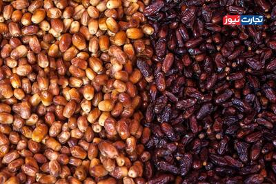  تولید خرما در ایران به طور متوسط سالانه یک میلیون و 300 هزار تن است