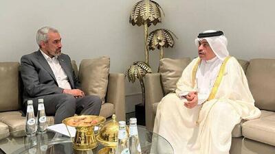  رایزنی وزیر اقتصاد ایران با همتایان قطری، پاکستانی و ازبک