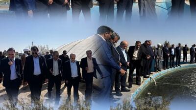  آبزی‌پروری در آب‌های شور؛ فرصتی نو برای اشتغال و ماندگاری روستاییان سیستان و بلوچستان