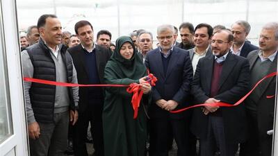  واحدهای تولیدی نظرآباد در کانون توجه ملاحظات زیست محیطی/ افتتاح تصفیه خانه پسماند