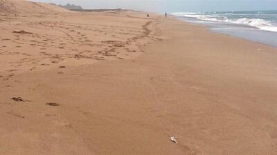  تعیین وضعیت آلودگی سواحل مکران/ حجم نگران‌کننده میکروپلاستیک‌ها در برخی مناطق