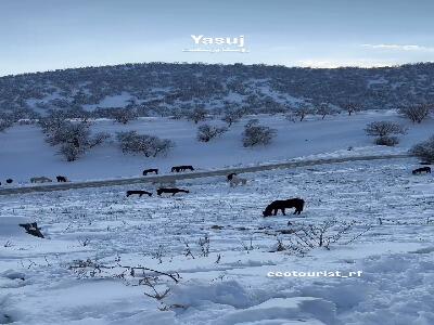  روستای زیبایی در نزدیکی شهر یاسوج