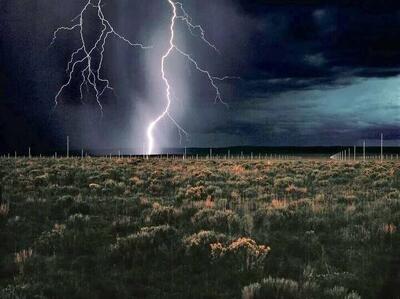  برترین آثار هنری 2025