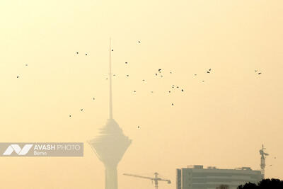  شاخص آلودگی هوای تهران امروز سه‌شنبه 21 بهمن