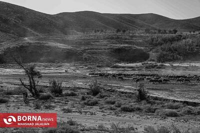  سمنان؛ ۳۰۰ لیتر بر ثانیه کمبود آب دارد