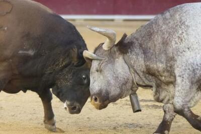  انتظار برای دوره جدید بی ثباتی