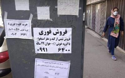  سیل فروش کلیه در ایران به خاطر نیاز مالی / نوبت به دهه هشتادی ها رسید!