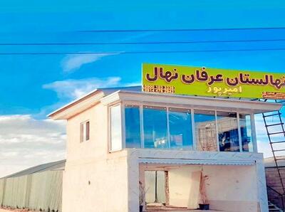  به جای طلا و دلار، با 70% تخفیف نهال پایه رویشی بخر، 2 برابر بازگشت سرمایه اولیه در سال اول