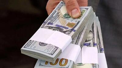  تاثیر حذف ارز ترجیحی برای تولید نهاده های دامی