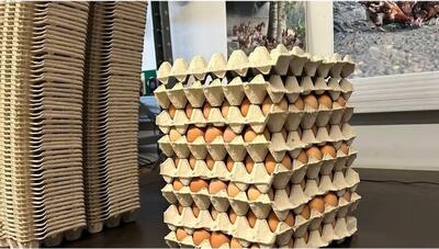  شکست قیمت‌ها در بازار؛ تخم‌مرغ و برنج ارزان شدند