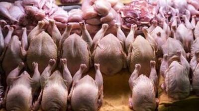  قیمت مرغ در بازار امروز