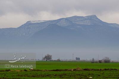  محیط زیست، قربانی همیشگی بودجه و بی‌توجهی