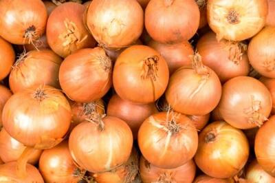  صادرات پیاز با کاهش پایه ارزی تسهیل شد