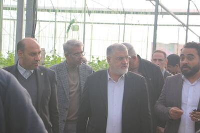  توسعه گلخانه‌ها یکی از محورهای اصلی امنیت غذایی استان تهران است
