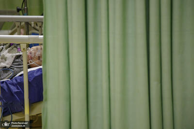  آمار جراحی و بستری‌های حوادث دی ماه 1404 اعلام شد