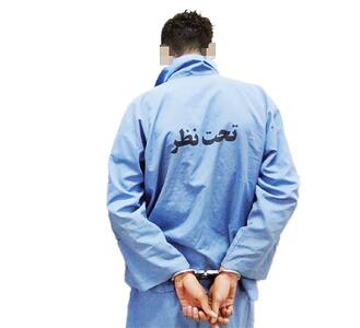  رازگشایی از قتل ملیکا