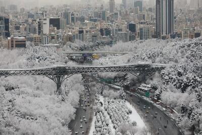  وزش باد شدید همراه با بارندگی در پایتخت