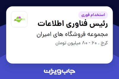  استخدام رئیس فناوری اطلاعات - خانم در مجموعه فروشگاه های امیران