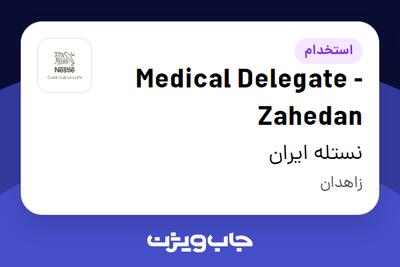  استخدام Medical Delegate - Zahedan در نستله ایران