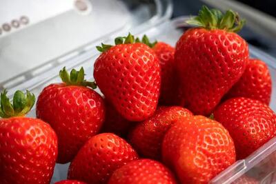  چند خوردنی مفید برای سلامت پوست