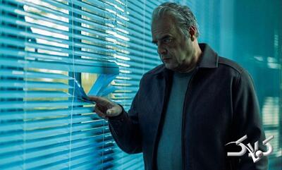  جشنواره بدون تنش پیش رفت - مجله اینترنتی کولاک