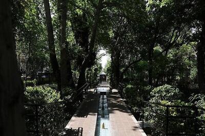  اقوامی‌پناه: بیش از ۲۴۳۷ بوستان در تهران در خدمت شهروندان است