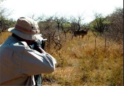  رشد ۳۴۷ درصدی کشف تخلفات شکار و صید غیرمجاز در تهران طی سال جاری